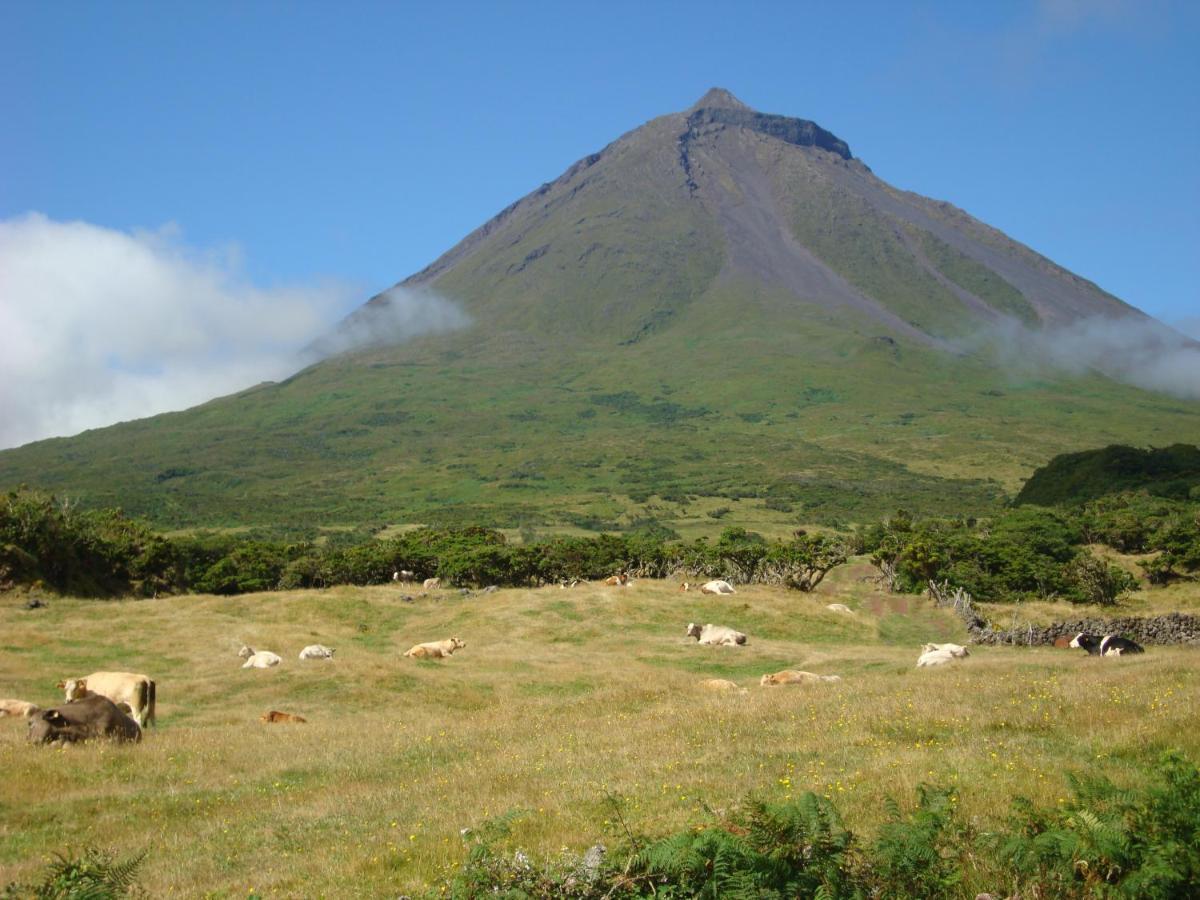 Villa Casa Da Abrotea Lajes do Pico Exterior foto